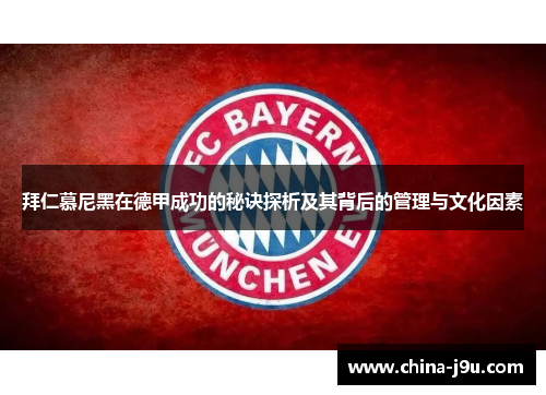 拜仁慕尼黑在德甲成功的秘诀探析及其背后的管理与文化因素