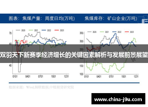 双羽天下新赛季经济增长的关键因素解析与发展前景展望