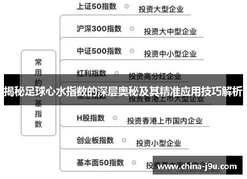 揭秘足球心水指数的深层奥秘及其精准应用技巧解析