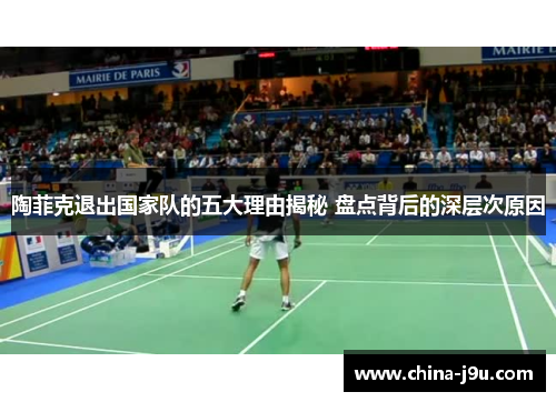 陶菲克退出国家队的五大理由揭秘 盘点背后的深层次原因